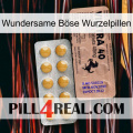 Wundersame Böse Wurzelpillen 41